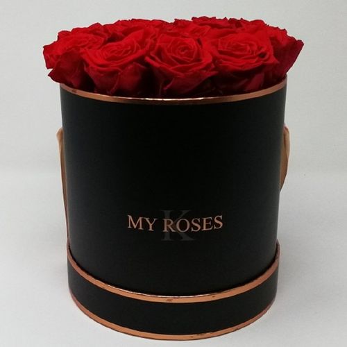 INFINITY ROSENBOX Rom black 14+ Rosen