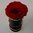 INFINITY ROSENBOX Athen black eine Rose