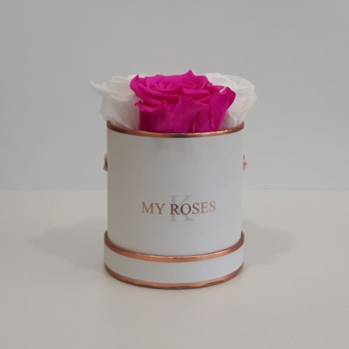 INFINITY ROSENBOX Wien creme, 4 Rosen in weiss und hot pink